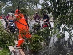 Bupati Bogor Pastikan Reboisasi Pakansari Usai Bencana Puting Beliung