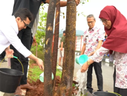 Rayakan HUT ke-15, RSUD Moh Noh Nur Leuwiliang Tanam 13 Pohon Wujud Komitmen Lingkungan Sehat