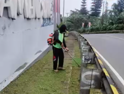 Biar Tetap Indah, Atas Instruksi Bupati Bogor, DPKP Kabupaten Bogor Melakukan Penataan Dan Perapihan Taman Selarong Puncak