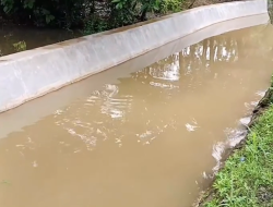 Pemkab Bogor Gerak Cepat, TPT Irigasi Kali Cibeuteng Pascabencana Kini Aman