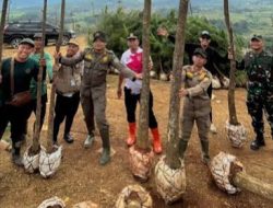 Dari Instruksi Bupati Bogor Rudy Susmanto hingga Aksi Nyata, Sukamakmur Tuntaskan Penanaman Ribuan Pohon