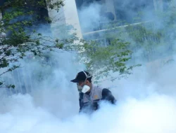 Dinkes Kabupaten Bogor Gencarkan Fogging Usai 4 Warga Rumpin Terjangkit DBD