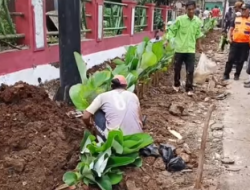 Sentuhan Hijau di Pasar Parung, Wajah Baru Eks PKL Kini Lebih Asri