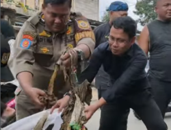 Gerak Cepat Tangani Banjir, Normalisasi Irigasi di Cibungbulang Mulai Dilakukan