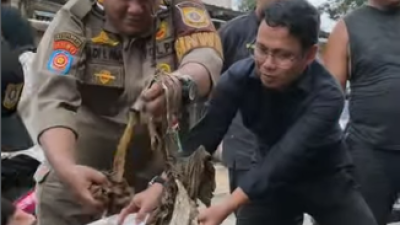 Gerak Cepat Tangani Banjir, Normalisasi Irigasi di Cibungbulang Mulai Dilakukan