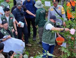Rudy Susmanto Percepat Program Hutan Kota, 156 Hektare Lebih Terwujud dalam Empat Bulan