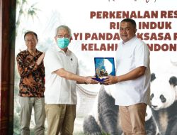 Baby Rio Lahir di Bogor, Tonggak Baru Konservasi Satwa Indonesia
