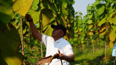 Rudy Susmanto Perkuat Warisan Hijau Kabupaten Bogor, 45.152 Pohon Tumbuh di 40 Kecamatan