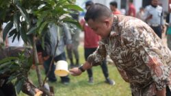 Rudy Susmanto Canangkan Selasa Sebagai Hari Menanam, Awali Gerakan 2.000 Pohon di Pakansari