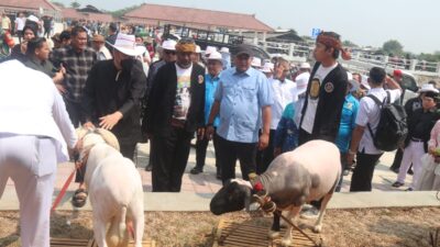 Pasar Hewan Jonggol Jadi Penggerak Ekonomi Bogor Timur
